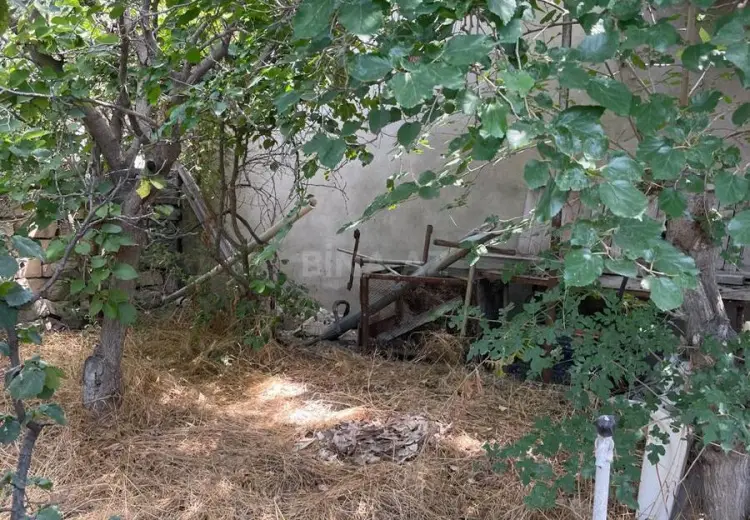 4.3 sot Torpaq Satılır, Novxanı, Abşeron