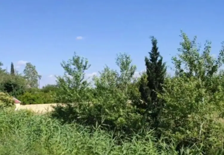 40 sot Torpaq Satılır, Ucar