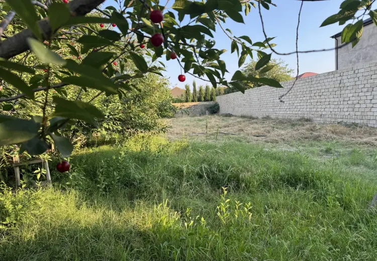 10 sot Torpaq Satılır, Novxanı, Abşeron