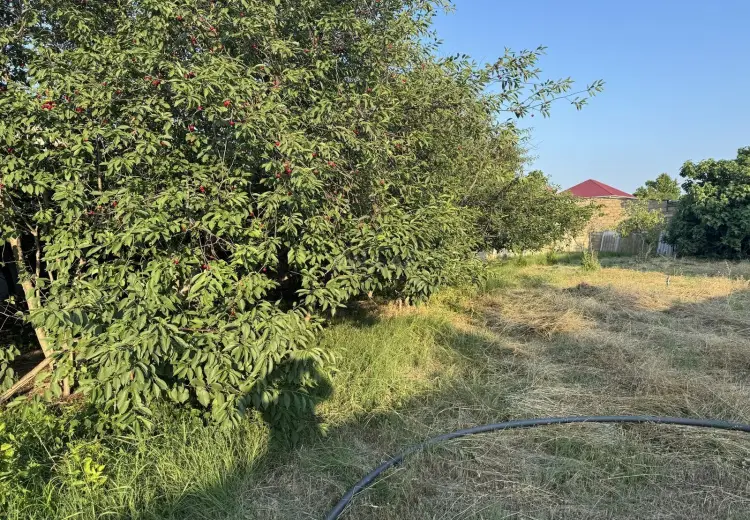 10 sot Torpaq Satılır, Novxanı, Abşeron