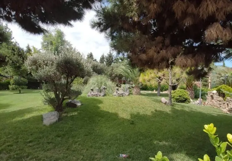182 sot Torpaq Satılır, Şüvəlan, Xəzər, Bakı