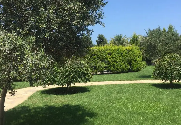 182 sot Torpaq Satılır, Şüvəlan, Xəzər, Bakı