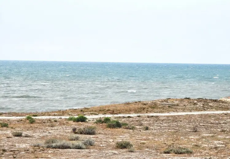 25 sot Torpaq Satılır, Bilgəh qəs., Sabunçu, Bakı