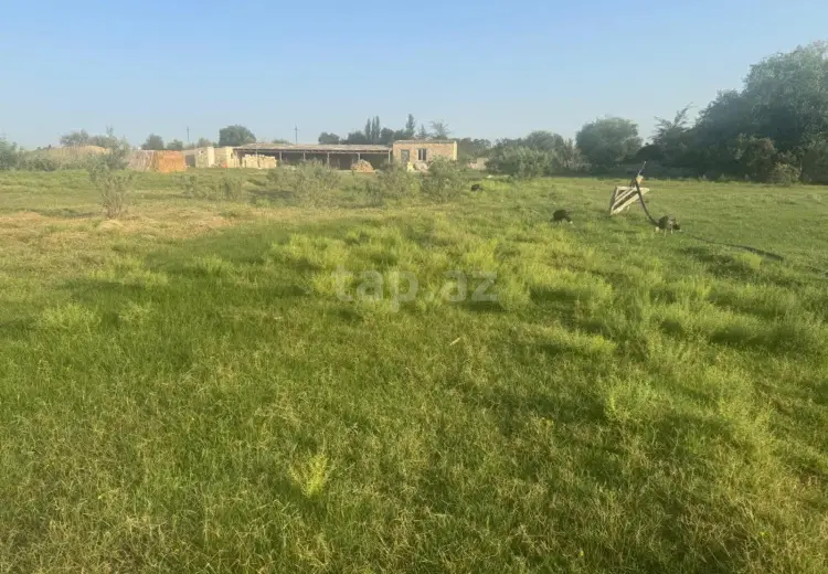 0 m² Obyekt / Ofis , Sumqayıt