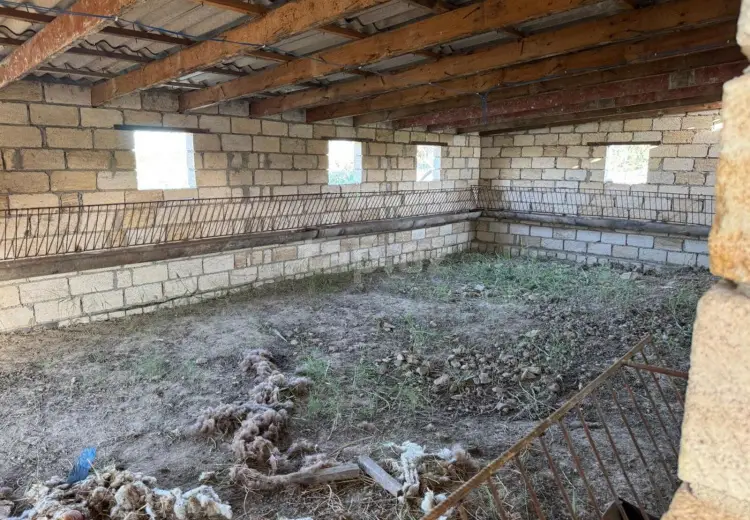 0 m² Obyekt / Ofis , Sumqayıt