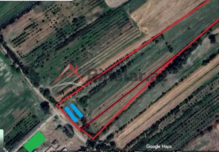 204 sot Torpaq Satılır, Xaçmaz