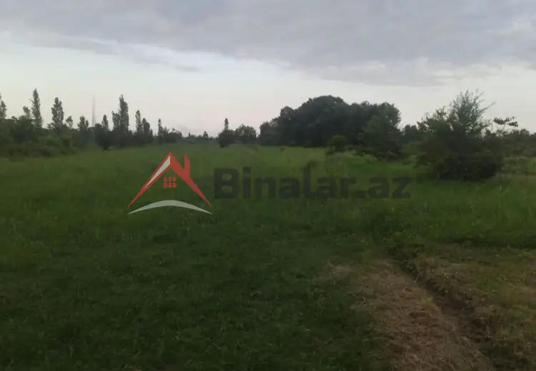204 sot Torpaq Satılır, Xaçmaz