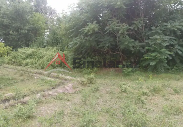 204 sot Torpaq Satılır, Xaçmaz