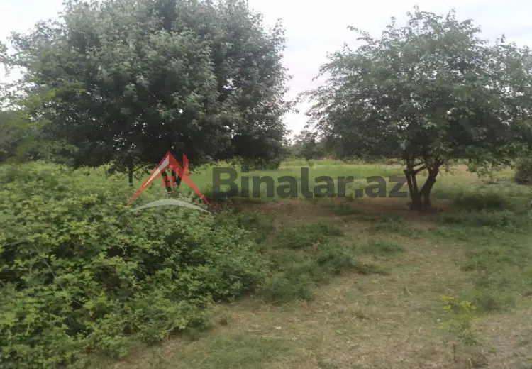 204 sot Torpaq Satılır, Xaçmaz