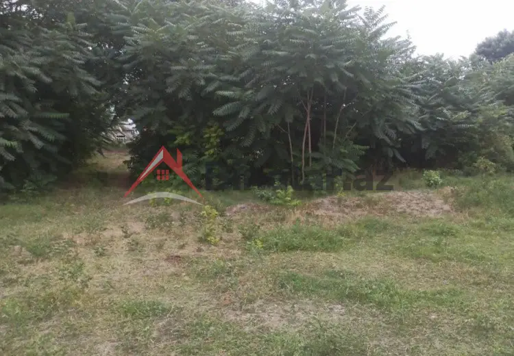 204 sot Torpaq Satılır, Xaçmaz