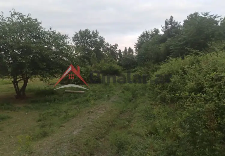 204 sot Torpaq Satılır, Xaçmaz