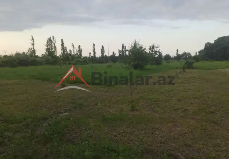 204 sot Torpaq Satılır, Xaçmaz