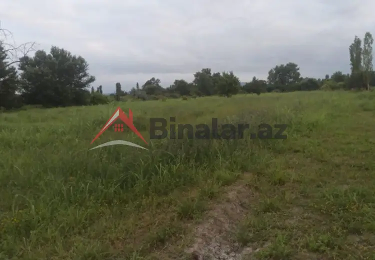 204 sot Torpaq Satılır, Xaçmaz