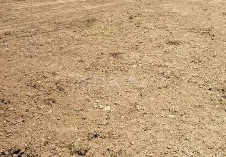4 sot Torpaq Satılır, Quba