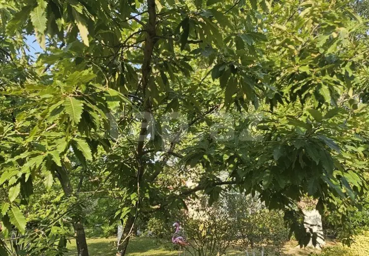 9 otaqlı mənzil , Nardaran qəs., Sabunçu, Bakı