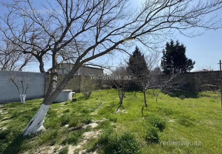 1 sot Torpaq Satılır, Corat bağları, Sumqayıt