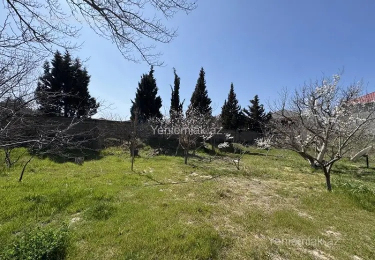 1 sot Torpaq Satılır, Corat bağları, Sumqayıt