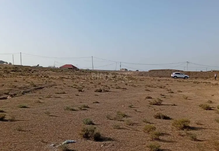 4.2 sot Torpaq Satılır, Saray, Abşeron