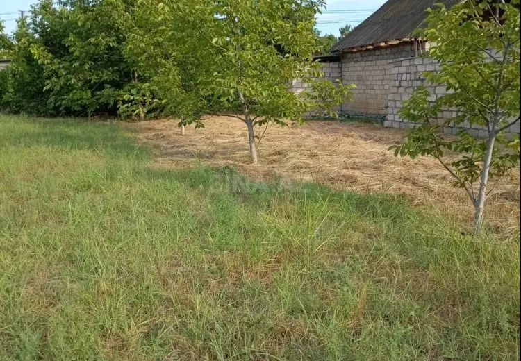 20 sot Torpaq Satılır, Ağdaş