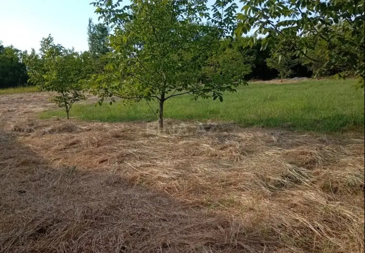 20 sot Torpaq Satılır, Ağdaş