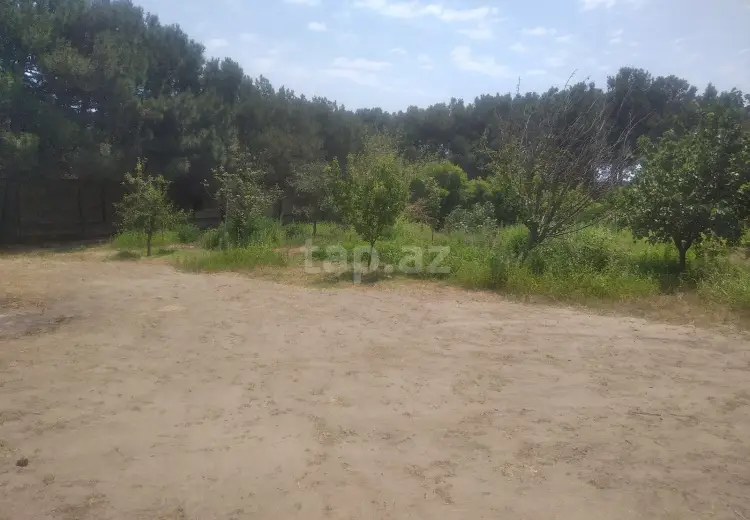 0 m² Obyekt / Ofis , Buzovna, Xəzər, Bakı