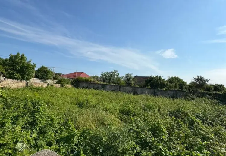 6 sot Torpaq Satılır, Nabran
