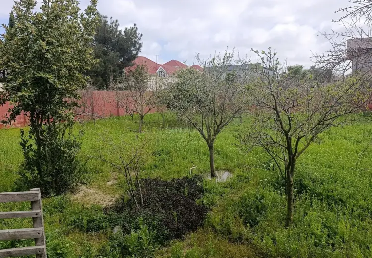 12 sot Torpaq Satılır, Mərdəkan, Xəzər, Bakı