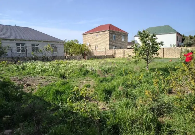 5 sot Torpaq Satılır, Saray, Abşeron