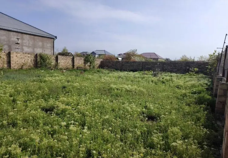5 sot Torpaq Satılır, Saray, Abşeron