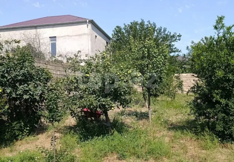 0 m² Obyekt / Ofis , Sabunçu, Bakı