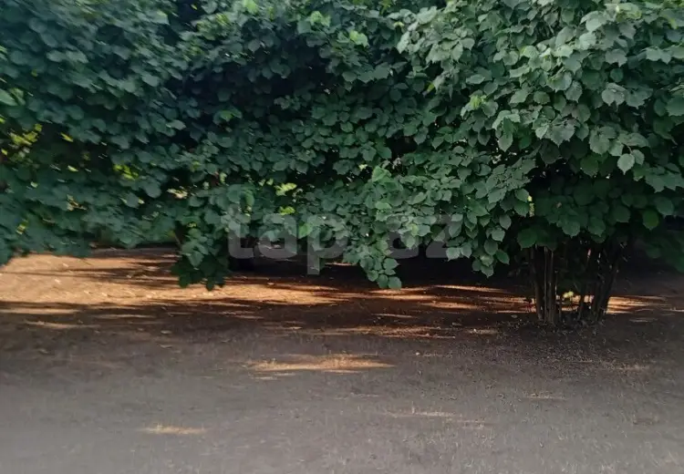 2 otaqlı mənzil , Xaçmaz