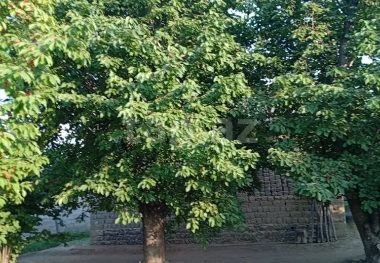 2 otaqlı mənzil , Xaçmaz
