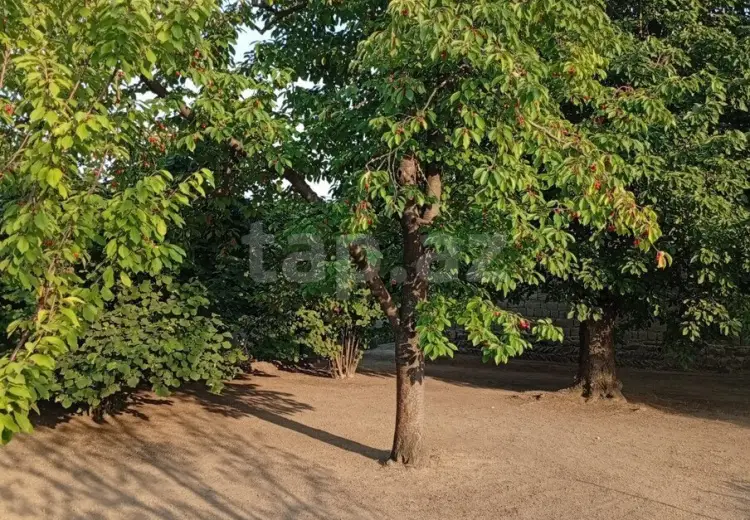 2 otaqlı mənzil , Xaçmaz
