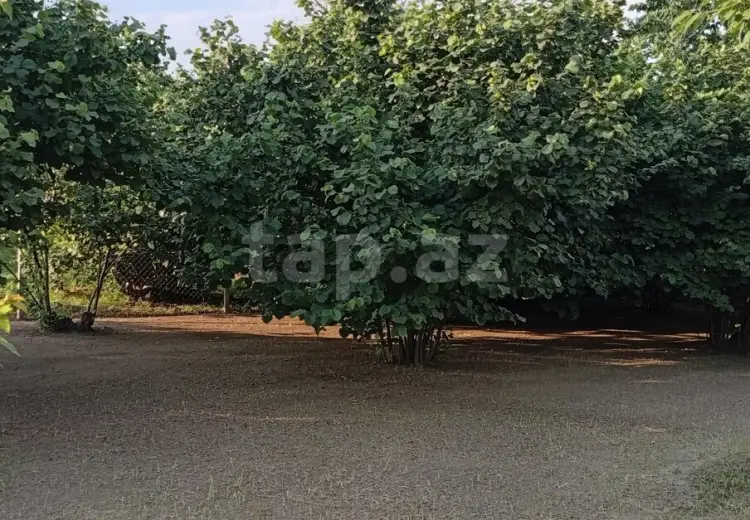 2 otaqlı mənzil , Xaçmaz