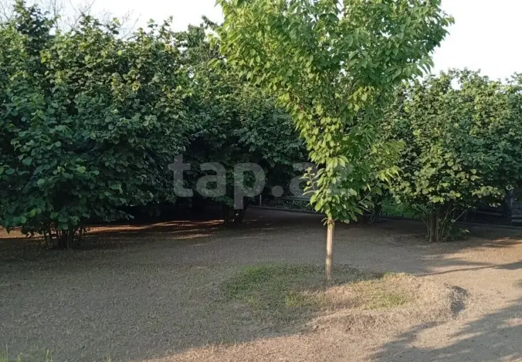 2 otaqlı mənzil , Xaçmaz