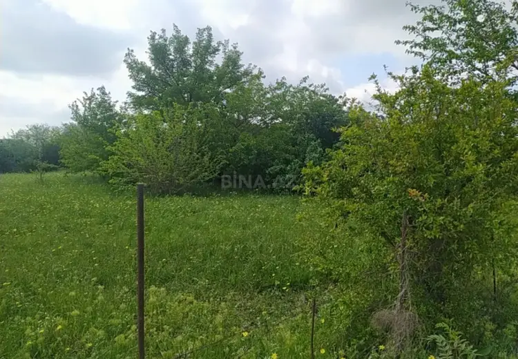 22 sot Torpaq Satılır, Mingəçevir