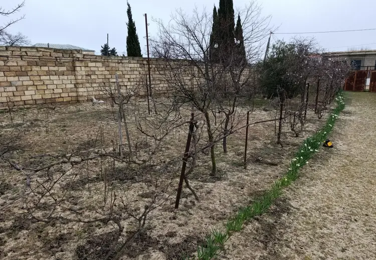 12 sot Torpaq Satılır, Novxanı, Abşeron