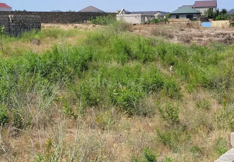 12 sot Torpaq Satılır, Nardaran qəs., Sabunçu, Bakı
