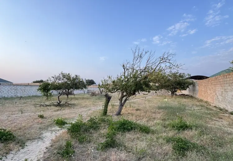 3.1 sot Torpaq Satılır, Məştağa qəs., Sabunçu, Bakı