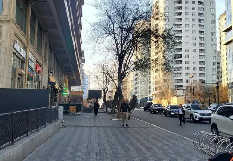 160 m² Obyekt / Ofis Satılır, Nəsimi, Bakı