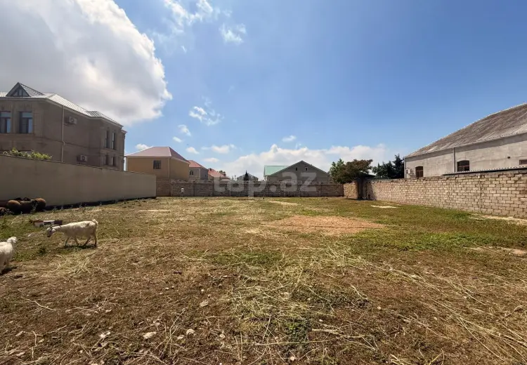 0 m² Obyekt / Ofis , Buzovna, Xəzər, Bakı