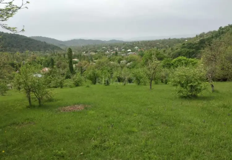 50 sot Torpaq Satılır, Qəbələ