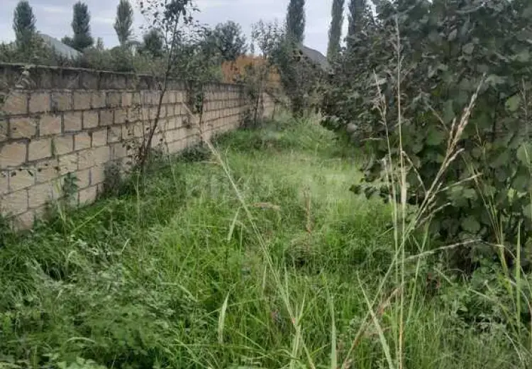 40 sot Torpaq Satılır, Qəbələ