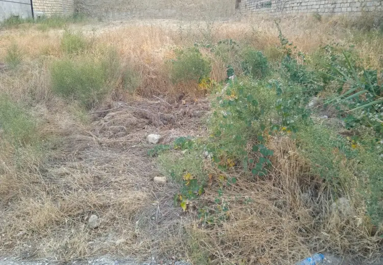 6 sot Torpaq Satılır, Badamdar qəs., Səbail, Bakı