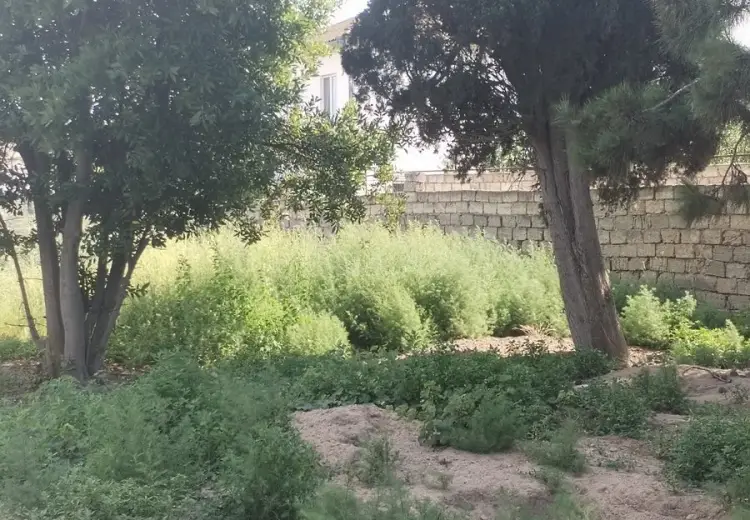 9 sot Torpaq Satılır, Buzovna, Xəzər, Bakı