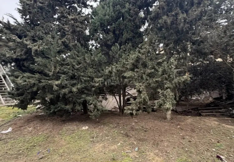 25 sot Torpaq Satılır, Bilgəh qəs., Sabunçu, Bakı
