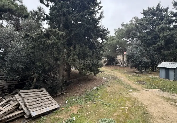 25 sot Torpaq Satılır, Bilgəh qəs., Sabunçu, Bakı