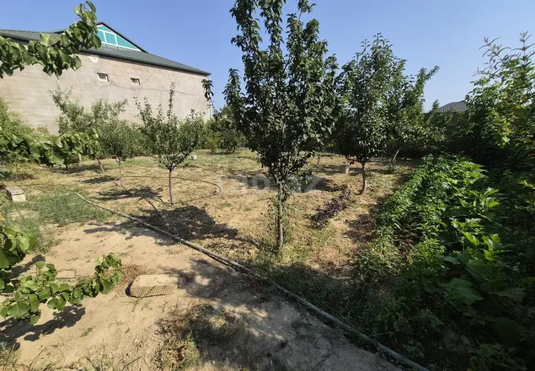 0 m² Obyekt / Ofis , Mehdiabad, Abşeron