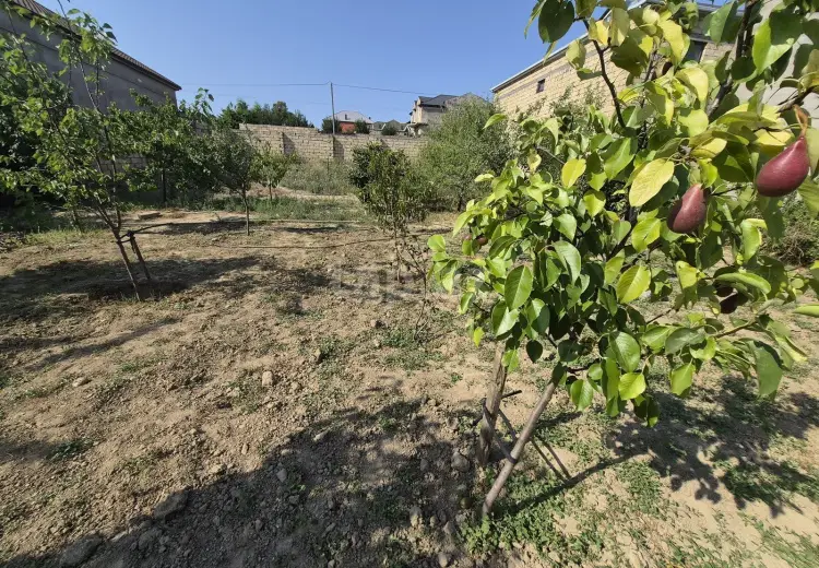 0 m² Obyekt / Ofis , Mehdiabad, Abşeron