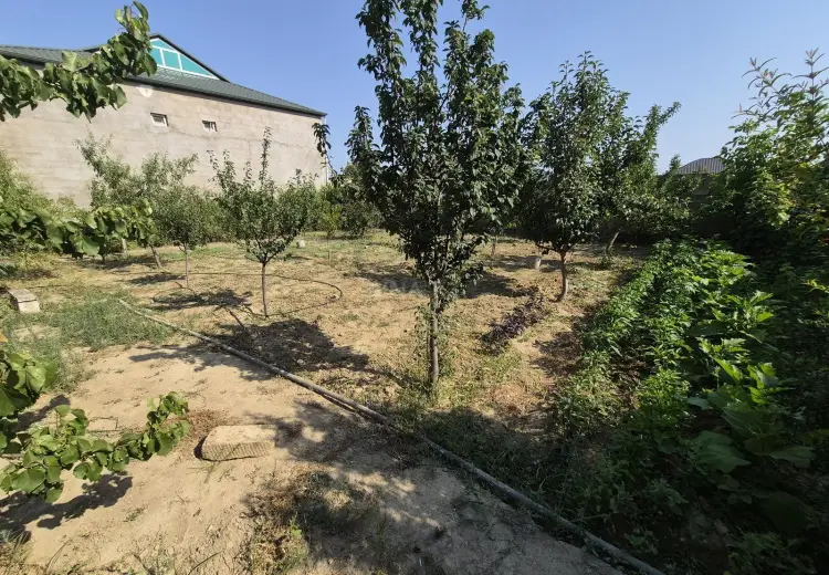 5 sot Torpaq Satılır, Mehdiabad, Abşeron